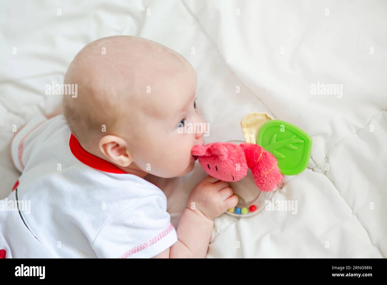 Ein Baby von zwei Monaten saugt eine flauschige Rassel und hält ihn in den Händen. Greifreflex bei Säuglingen Stockfoto