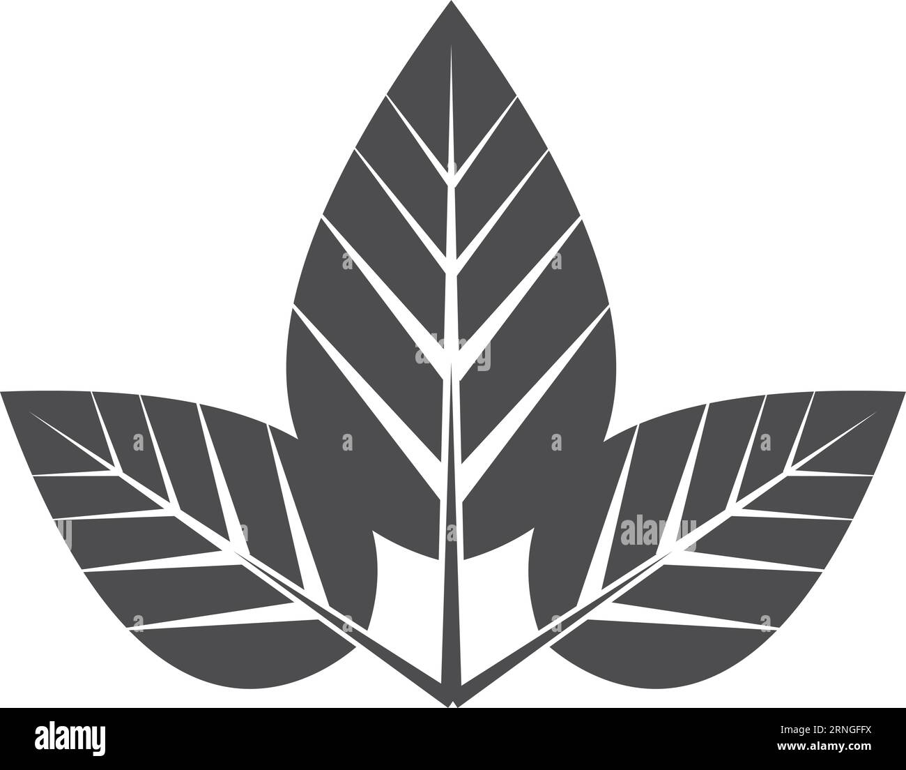 Logo aus organischen Naturblättern. Schwarzes Öko-Emblem Stock Vektor