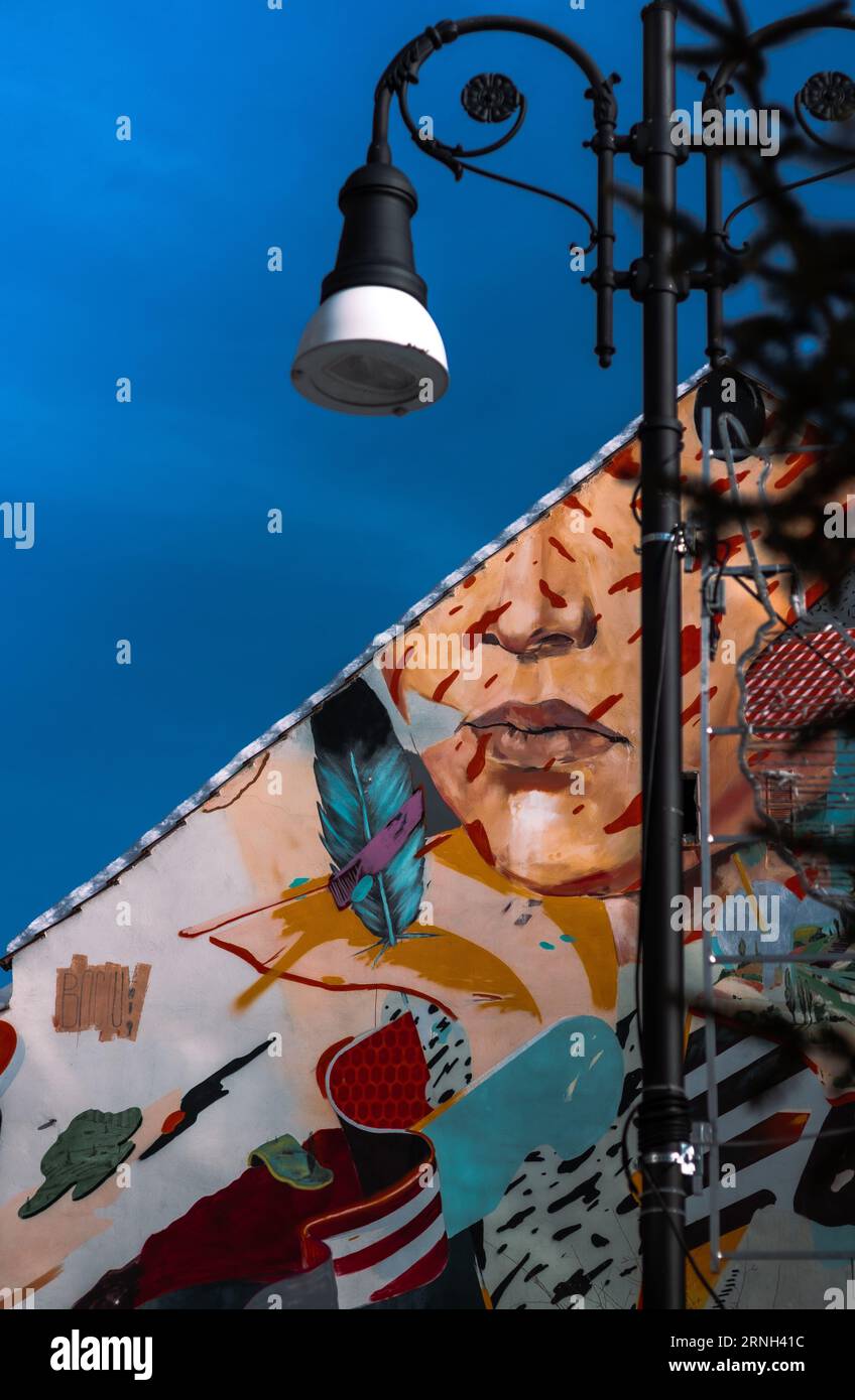 Street Art Graffiti, Straßenlaterne, gesichtsbemalte Wand. Straßenkunst in einem kurzen Spaziergang auf den Straßen von Brasov gefangen Stockfoto