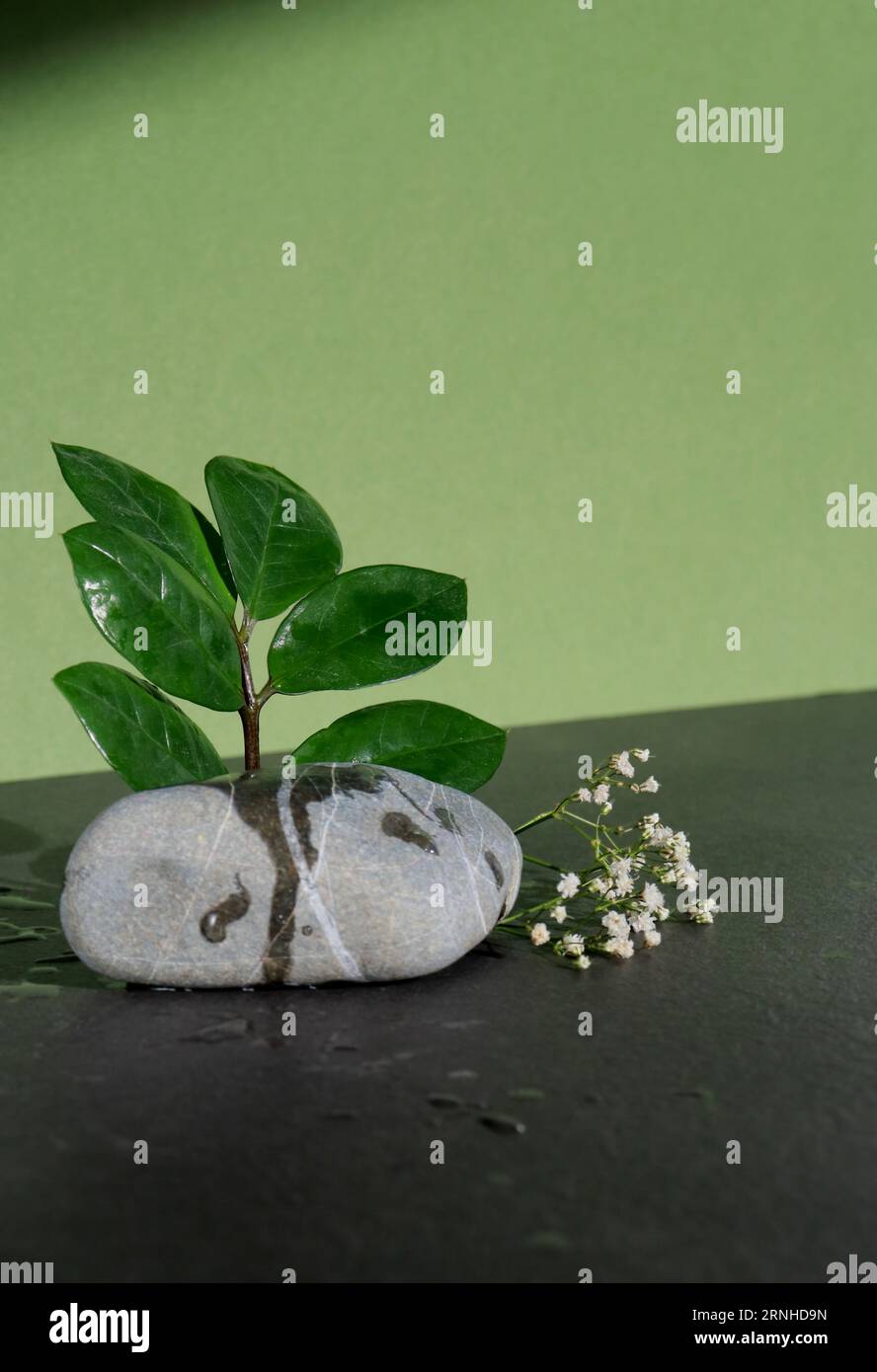 Leeres Minimalprodukt mit einem Stein, Blumen und grünen Blättern, grünem und gelbem Hintergrund Stockfoto