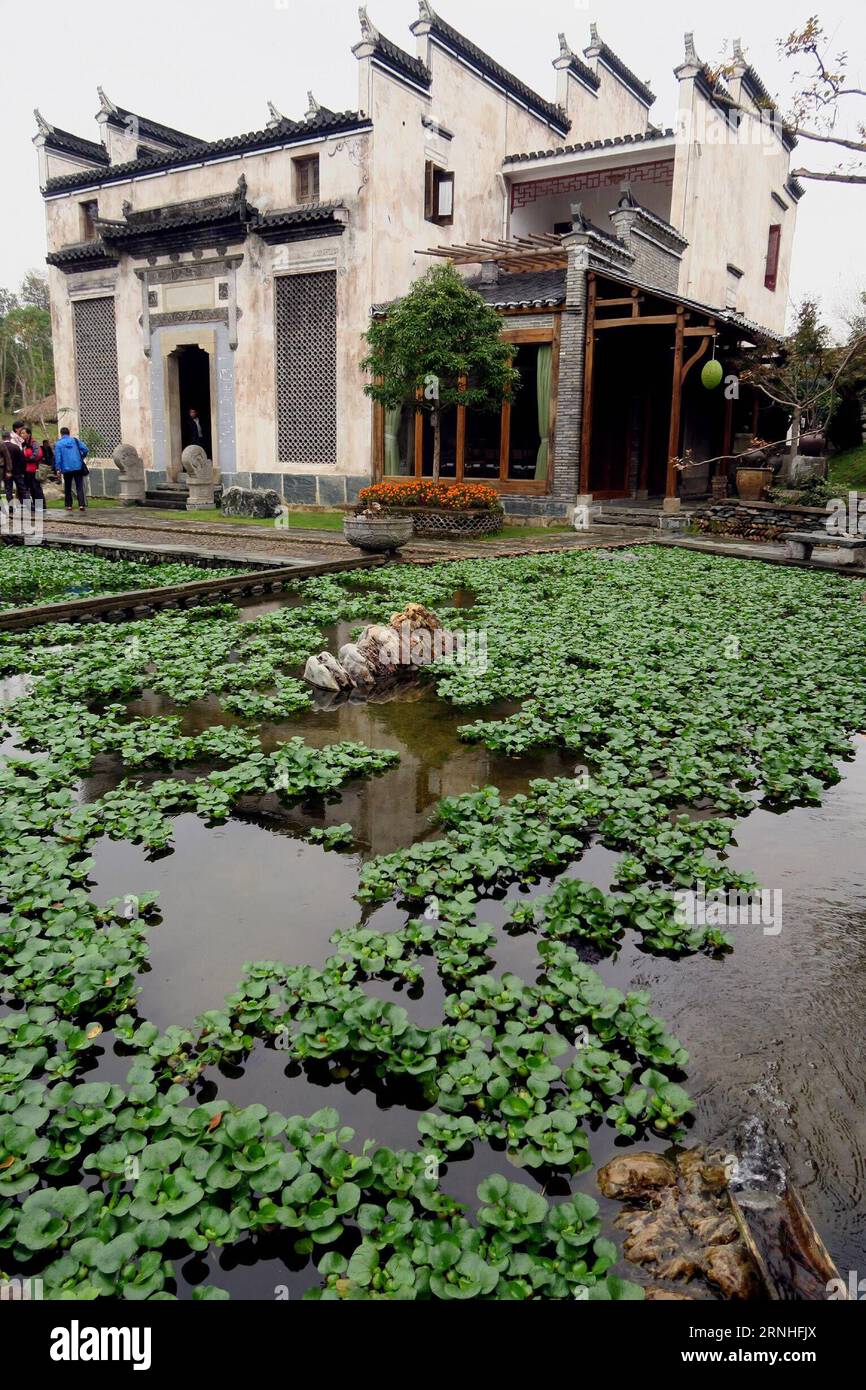 Die Menschen beobachten die Architektur im Hui-Stil in einem Garten im Wuyuan County, der ostchinesischen Provinz Jiangxi, 15. November 2016. Wuyuan liegt im Grenzgebiet der ostchinesischen Provinzen Jiangxi, Zhejiang und Anhui und zieht mit seiner Architektur und Umgebung viele Besucher an. ) (Zwx) CHINA-JIANGXI-WUYUAN-LANDSCHAFT (CN) LixMingfang PUBLICATIONxNOTxINxCHN Prominente Sehen Sie Hui-Stil Architektur in einem Garten in Wuyuan County Ostchina S Jiangxi Provinz Nov 15 2016 im Grenzgebiet von Ostchina S Jiangxi Zhejiang und Anhui Provinzen Wuyuan zieht Arc Besucher an Stockfoto