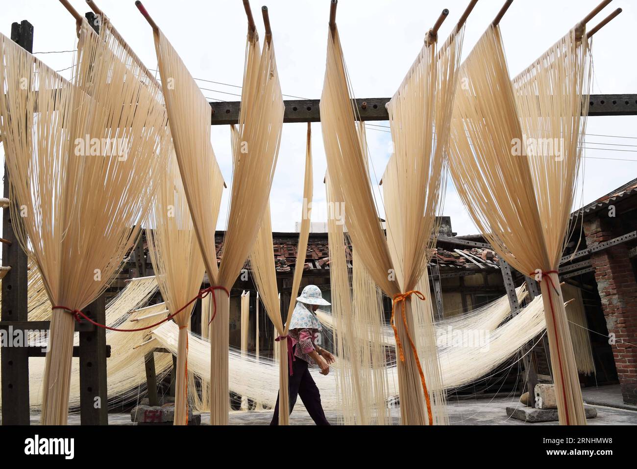 (161129) -- CHANGHUA, 29. November 2016 -- Ein Dorfbewohner trocknet Nudeln auf dem Hof in der Fuxing Township im Changhua County, Taiwan im Südosten Chinas, 29. November 2016. ) (Zyd) CHINA-CHANGHUA-NUDELN (CN) ZhuxXiang PUBLICATIONxNOTxINxCHN Changhua Nov 29 2016 ein Dorf trocknet Nudeln AUF dem Yard in Fuxing Township von Changhua County Südostchina S TAIWAN Nov 29 2016 ZYD China Changhua Noodles CN ZhuxXiang PUBLICATINxCHN Stockfoto