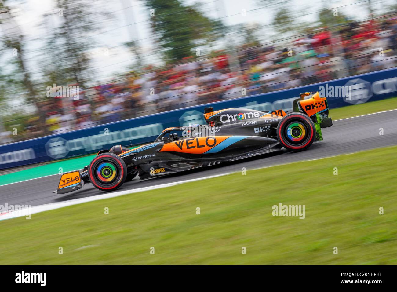 Monza, Italien. September 2023. Oscar PiNGaus Australien fuhr 81 das McLaren F1 Team MCL60 Mercedes während der Formel 1 Pirelli GP d'Italia. Quelle: Alessio Morgese/Alessio Morgese/E-Mage/Alamy Live News Stockfoto