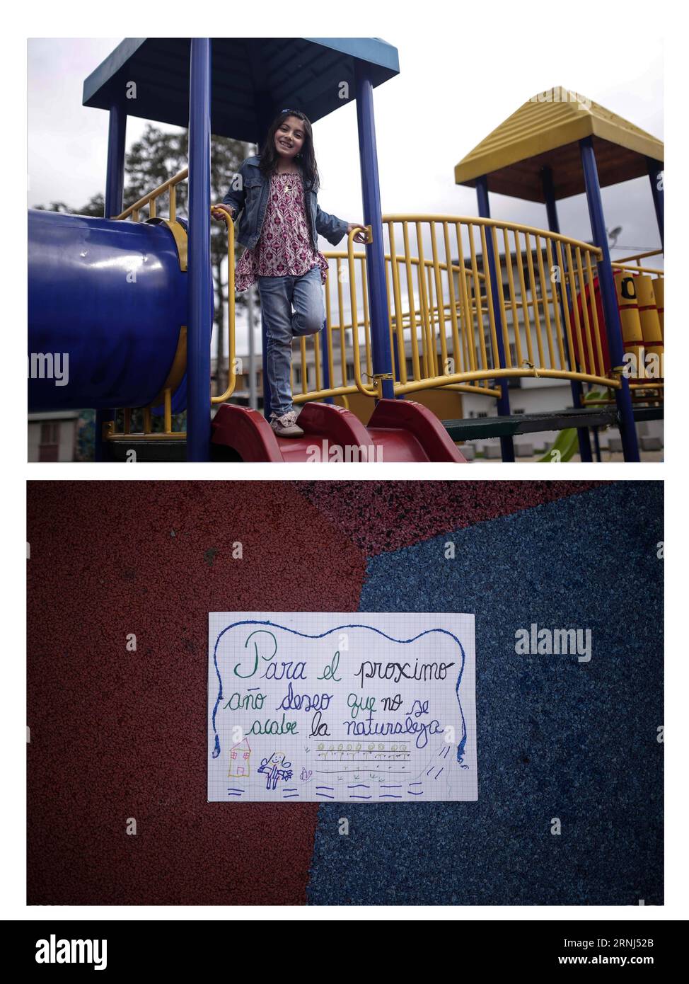 (170101) -- BOGOTA, 1. Januar 2017 -- Bilder, aufgenommen am 30. Dezember 2016, zeigen die siebenjährige Sophia, die in einem Park posiert, mit einem Brief, der ihr den Wunsch mitteilt, dass die Natur 2017 nicht endet, in der Stadt Bogota, der Hauptstadt Kolumbiens. Jhon Paz) (sxk) COLOMBIA-BOGOTA-SOCIETY-NEW YEAR-FEATURE e Jhonpaz PUBLICATIONxNOTxINxCHN Bogota Jan 1 2017 Bilder aufgenommen AUF DEC 30 2016 zeigt Sieben Jahr alte Sophia posiert in einem Park mit einem Brief mit ihrem Wunsch Thatcher die Natur endet nicht 2017 in der Stadt Bogota Hauptstadt von Kolumbien Jhon Paz sxk Colombia Bogota Society New Year Feature e Jhonpaz PUBLICATIONxNO Stockfoto