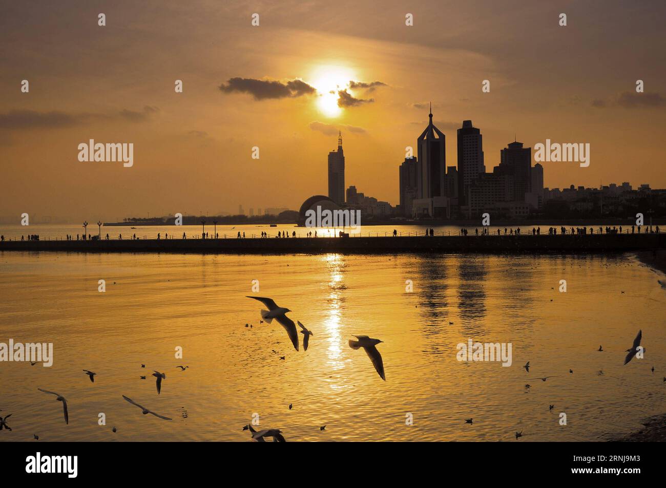 (170110) -- QINGDAO, 10. Januar 2017 -- Vögel fliegen an der Küste von Qingdao, ostchinesische Provinz Shandong, 10. Januar 2017. ) (zhs) CHINA-SHANDONG-QINGDAO-LANDSCHAFT (CN) WangxHaibin PUBLICATIONxNOTxINxCHN Qingdao Jan 10 2017 Vögel fliegen im Küstengebiet von Qingdao Ostchina Provinz S Shan Dong Jan 10 2017 zhs China Shan Dong Qingdao Landschaft CN WangxHaibin PUBLATIONxNOTxCHINN Stockfoto