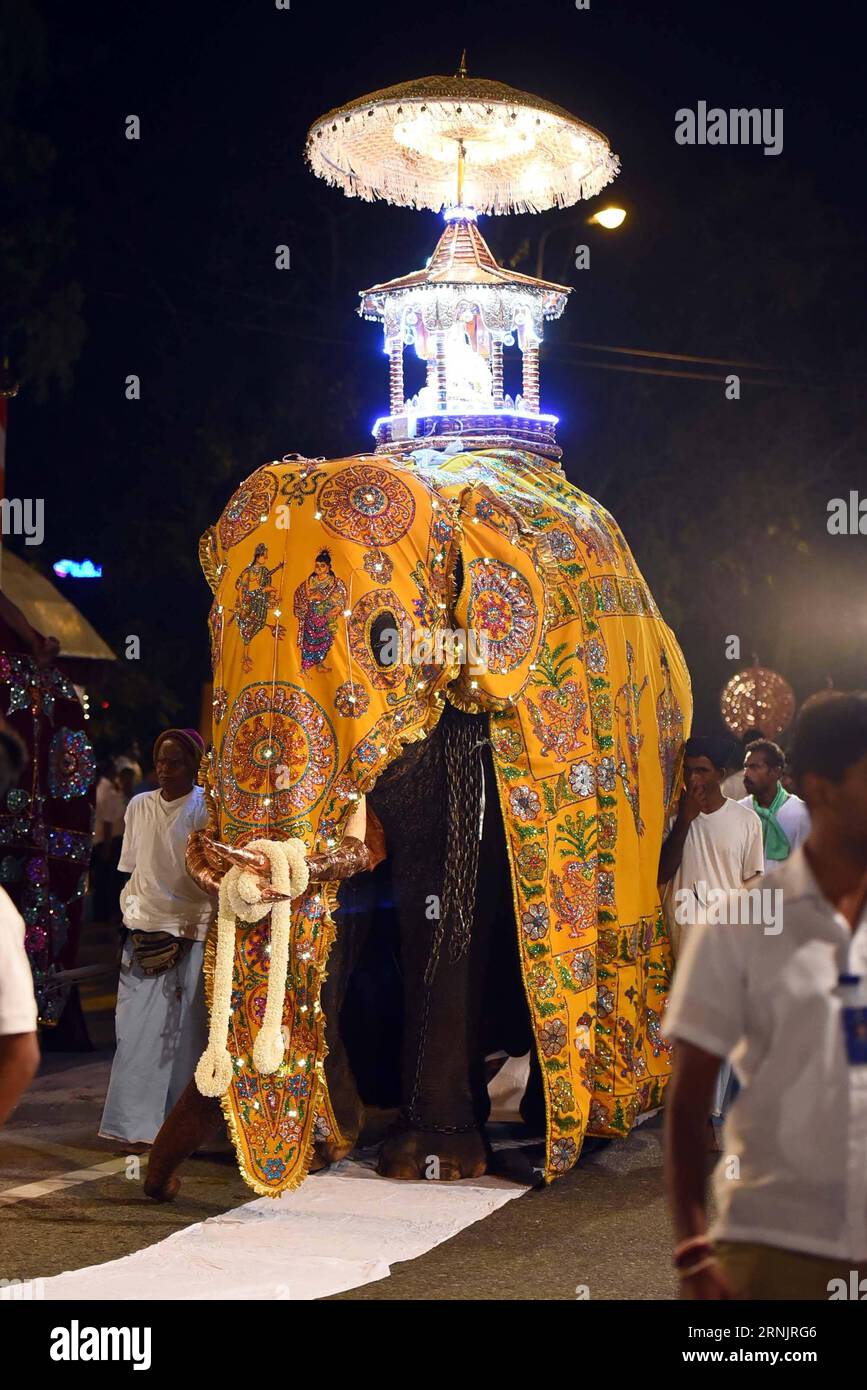 COLOMBO, 10. Februar 2017 – ein Elefant trägt einen Altar mit buddhistischen Relikten vor dem Gangarama-Tempel während des Navam Perahera Festivals in Colombo, Sri Lanka, 10. Februar 2017. Eine große Festparade, die Navam Perahera genannt wird, wird jährlich im Februar in Sri Lanka gefeiert und zeigt die reiche religiöse und kulturelle Tradition des Insellandes. ) SRI LANKA-COLOMBO-FESTIVAL PARADE GayanxSameera PUBLICATIONxNOTxINxCHN Colombo 10. Februar 2017 zum Elefanten trägt zum Altar mit buddhistischen Reliquien vor dem Tempel während des Pera Hera Festivals in Colombo Sri Lanka 10. Februar Stockfoto