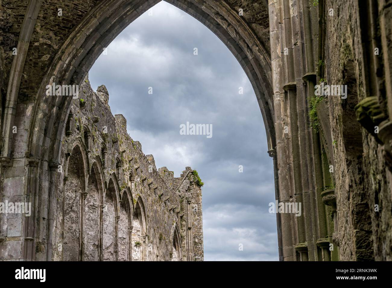 Ruine gotische Abtei auf dem Felsen von Cashel mit majestätischen gotischen Bögen und Fenstern Stockfoto