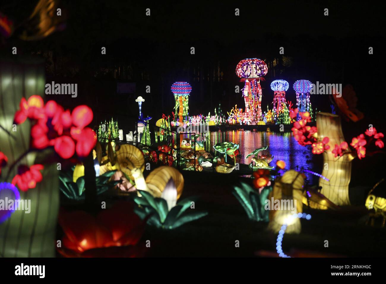 (170402) -- BOCA RATON, 2. April 2017 -- Foto aufgenommen am 24. März 2017 zeigt Laternen-Installationen bei einem Laternen-Festival im Sunset Cove Amphitheater in Boca Raton, Florida, USA. Sugar Drawing, eine traditionelle chinesische Volkskunst, die heißes Karamell verwendet, um zweidimensionale Figuren zu kreieren, gehört zu den vielen Volkskunst, die vom 24. Februar bis 9. April beim Chinese Lantern Festival im Palm Beach County, einem Paradies für Urlauber in Südflorida, ausgestellt wird. ) (zy) U.S.-BOCA RATON-CHINESE FOLK ARTS WangxYing PUBLICATIONxNOTxINxCHN Boca Raton April 2 2017 Foto aufgenommen AM 24. März 2017 Show Lant Stockfoto