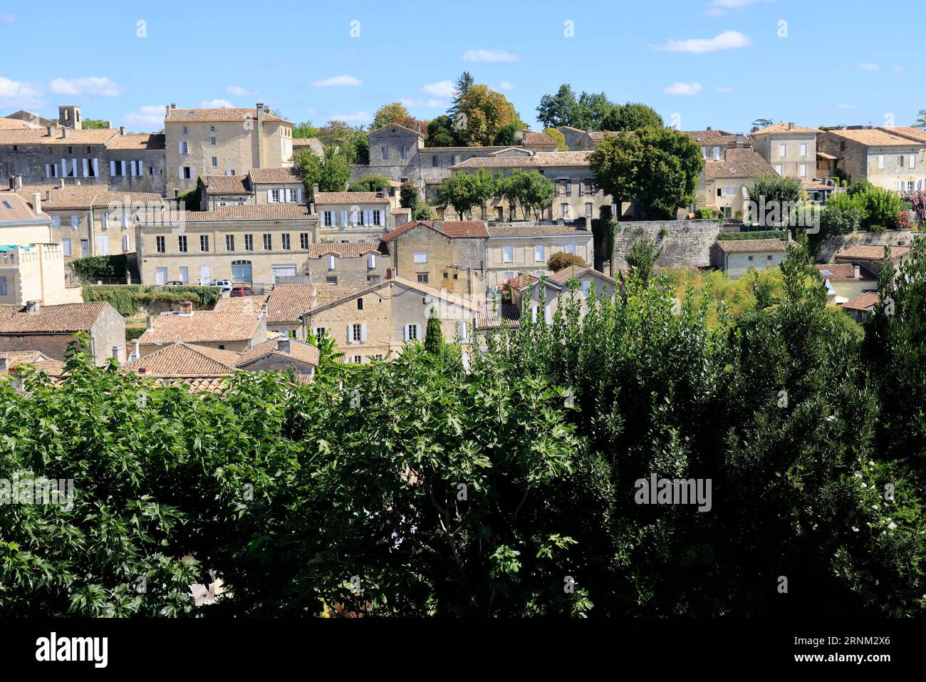 Saint-Emilion. Figuiers et figues dans le Village de Saint-Emilion classé parmi les plus beaux Villages de France. Saint-Emilion, Gironde, Frankreich, Eur Stockfoto