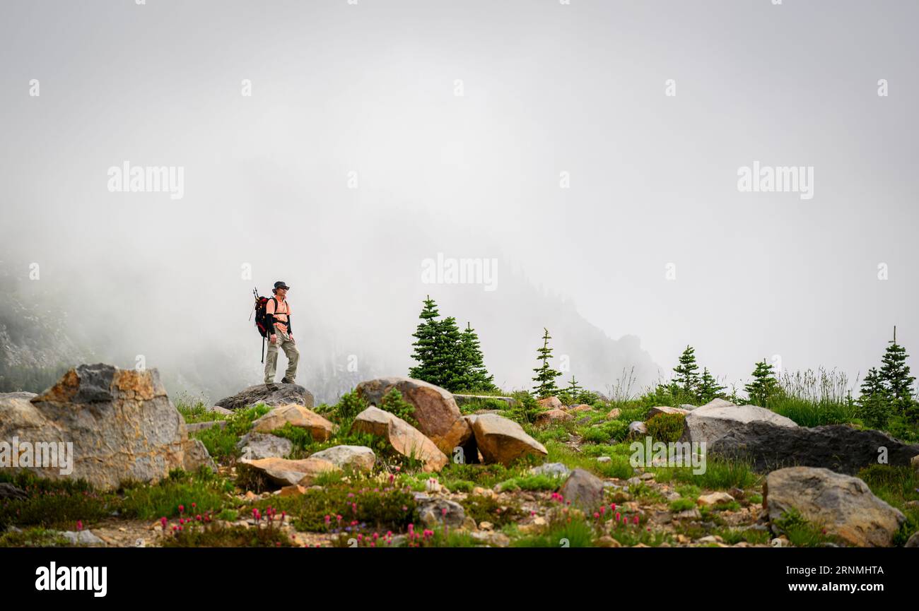 Mann, der auf den Felsen am Skyline Loop Trail steht. MT Rainier Nationalpark im Nebel.Washington State. Stockfoto