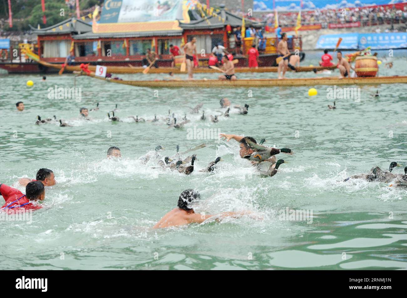 (170530) -- TONGREN, 30. Mai 2017 -- Menschen fangen Enten im Wasser bei einer traditionellen Feier während des Dragon Boat Festivals in der Stadt Tongren, südwestchinesische Provinz Guizhou, 30. Mai 2017. ) (wyl) CHINA-GUIZHOU-DRAGON BOAT FESTIVAL-CELEBRATION (CN) TaoxLiang PUBLICATIONxNOTxINxCHN Tongren Mai 30 2017 Berühmtheiten fangen Enten im Wasser bei einem traditionellen Festveranstaltung während des Dragon Boat Festivals in Tongren City Südwest China S Guizhou Provinz Mai 30 2017 wyl China Guizhou Dragon Boat Festival Celebration CN TaoxLiang PUNOBLICTINxCHNxN Stockfoto