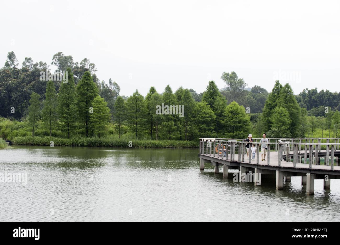 (170602) -- HONG KONG, 2. Juni 2017 -- Menschen besuchen den Hong Kong Wetland Park in Hong Kong, Südchina, 22. Mai 2017. Am 1. Juli 2017 jährt sich die Rückkehr Hongkongs ins Mutterland zum 20. Mal. In den letzten 20 Jahren hat Hongkong seine ökologische Umwelt weiter geschützt. ) (zhs) CHINA-HONG KONG-RETURN ANNIVERSARY-ENVIRONMENT (CN) LIUxYUN PUBLICATIONxNOTxINxCHN Hong KONG 2. Juni 2017 Prominente besuchen den Hong Kong Wetland Park in Hong Kong Südchina 22. Mai 2017 1. Juli 2017 Gedenken an den 20. JAHRESTAG der Rückkehr Hongkongs ins Mutterland in den letzten 20 Jahren Hongkong AUF Prote Stockfoto