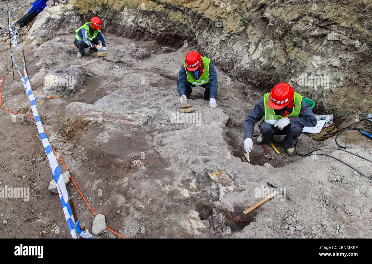 (170609) -- YANJI, 9. Juni 2017 -- Paläontologen arbeiten an der Ausgrabungsstätte am Longshan Mountain in der Stadt Yanji, nordöstliche Provinz Jilin, 8. Juni 2017. Fossilien eines vollständigen Krokodils und Knochen von mindestens sechs verschiedenen Dinosauriern aus der Kreidezeit vor 145 bis 66 Millionen Jahren wurden in der nordöstlichen chinesischen Provinz Jilin ausgegraben. )(mcg) CHINA-JILIN-YANJI-DINOSAURIER FOSSIL (CN) XuxChang PUBLICATIONxNOTxINxCHN Yanji 9. Juni 2017 Paläontologen arbeiten AN der Ausgrabungsstelle AM Long Shan Mountain in der Stadt Yanji im Nordosten Chinas, Provinz S Jilin, 8. Juni 201 Stockfoto