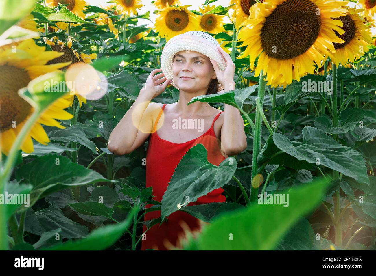 Schöne süße junge Frau in einem weißen Hut genießt Sonnenblumen, lächelt ein schönes Lächeln. Fröhliches Mädchen, Stil und umweltfreundlicher Lebensstil, ideal für Stockfoto