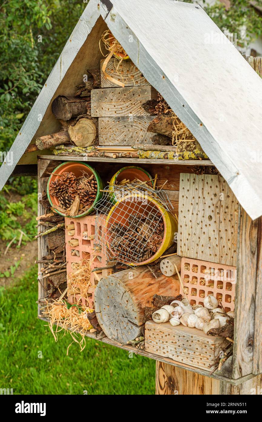 Nahaufnahme eines Insektenhotels, Insektenhotel, Insektenheim, Kanton Thurgau, Schweiz Stockfoto