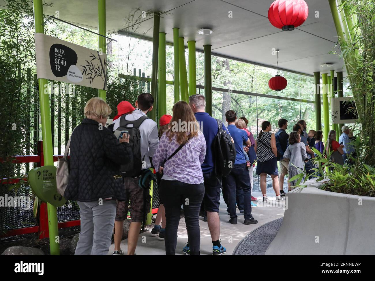 170706 -- BERLIN, 6. Juli 2017 -- am 6. Juli 2017 besuchen Menschen den Panda-Garten im Zoo Berlin in Berlin, Hauptstadt Deutschlands. Meng Meng und Jiao Qing, zwei Pandas aus der südwestchinesischen Provinz Sichuan, kamen Ende Juni in Berlin an. Ab Donnerstag können Besucher des Zoo Berlin Meng Meng und Jiao Qing in ihrem neuen Garten sehen, der 5.500 Quadratmeter umfasst. hy GERMANY-BERLIN-PANDA ShanxYuqi PUBLICATIONxNOTxINxCHN Stockfoto