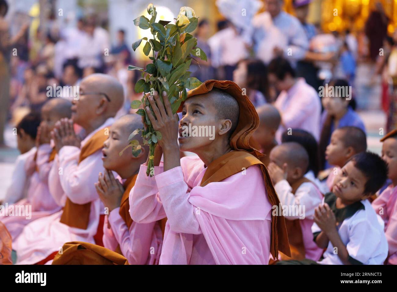 (170708) -- , 8. Juli 2017 -- buddhistische Nonnen huldigen während der Feierlichkeiten zum Vollmondtag von Warso, dem vierten Monat des myanmarischen Kalenders, in der Shwedagon-Pagode in Myanmar, 8. Juli 2017. U Aung)(gj) MYANMAR--WARSO-VOLLMONDTAG yangon PUBLICATIONxNOTxINxCHN 8. Juli 2017 buddhistische Nonnen huldigen während der Feierlichkeiten zum Vollmondtag des vierten Monats von Myanmar Kalender in der Shwedagon-Pagode in Myanmar 8. Juli 2017 U Aung GJ Myanmar Vollmondtag Yangon PUBLICATINxCHN Stockfoto