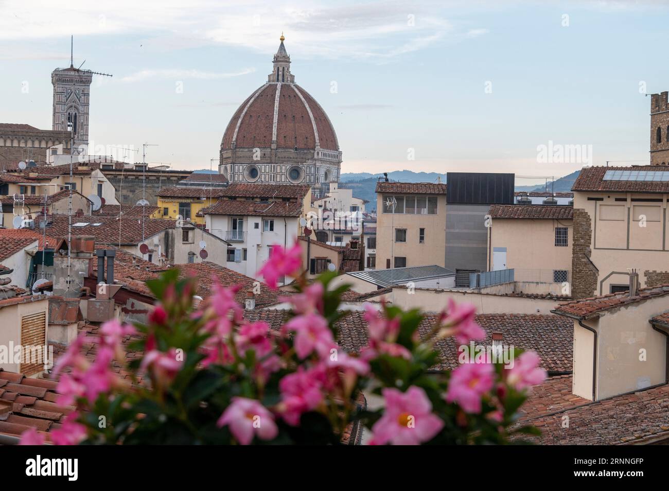 Über den Dächern befindet sich die Kuppel von Santa Maria del Fiore (Kathedrale von Florenz) in Florenz in der Toskana in Italien. Stockfoto