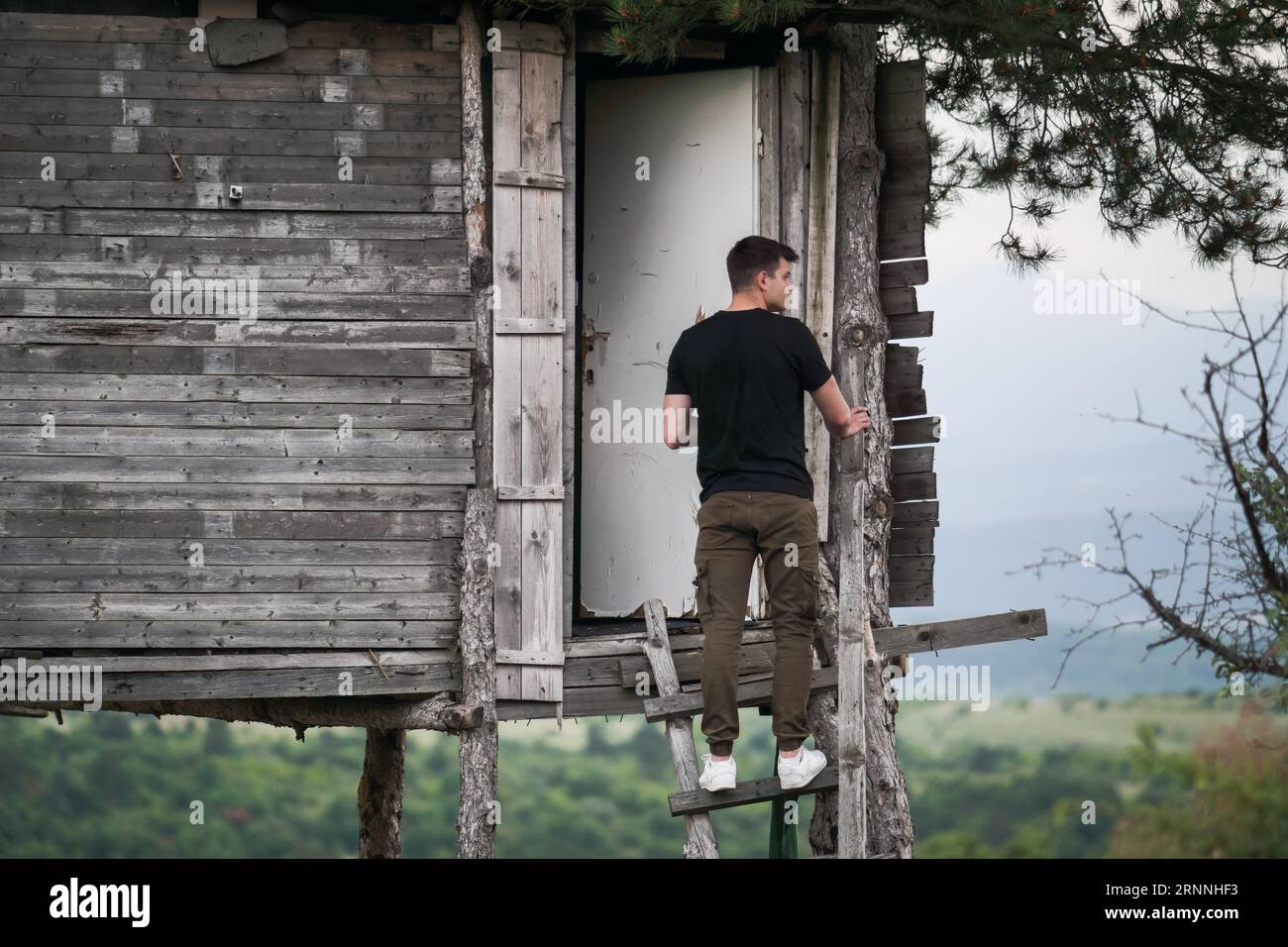 Hübscher junger Mann, der auf einer Treppe eines wilden Baumhauses steht. Wanderer vor einem Baumhaus Stockfoto