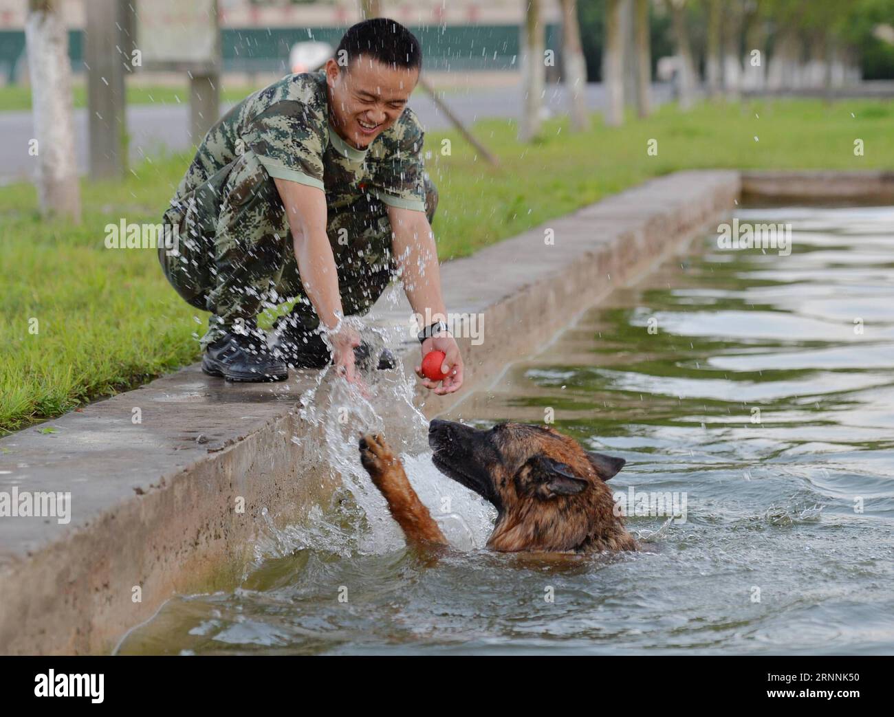 (170719) -- CHONGQING, 19. Juli 2017 -- Ein Polizeihund spielt im Pool, um sich in der südwestchinesischen Gemeinde Chongqing am 19. Juli 2017 abzukühlen. Trainer verwenden verschiedene Methoden, um die Hitze für Polizeihunde in Chongqing zu besiegen. ) (zx) CHINA-CHONGQING-HEAT-POLICE DOG (CN) CaoxFeng PUBLICATIONxNOTxINxCHN CHONGQING 19. Juli 2017 ein Polizeihund SPIELT im Pool, um sich im Südwesten Chinas abzukühlen S Chongqing Gemeinde 19. Juli 2017 Trainer verwenden verschiedene Methoden, um die Hitze für Polizeihunde in Chongqing ZX China Chongqing Heat Police Dog CaCN zu besiegen PUBLICATIONxNOTxINxCHN Stockfoto
