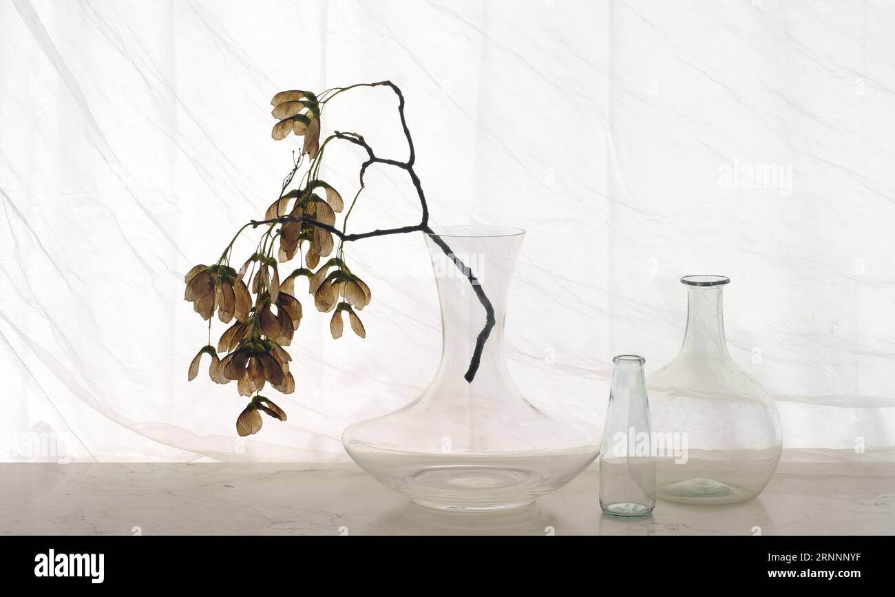 Drei Glasobjekte und ein Ahornzweig mit Samen, Wohnkultur, Negativraum, Herbst, Herbst, Saisonkonzept Stockfoto