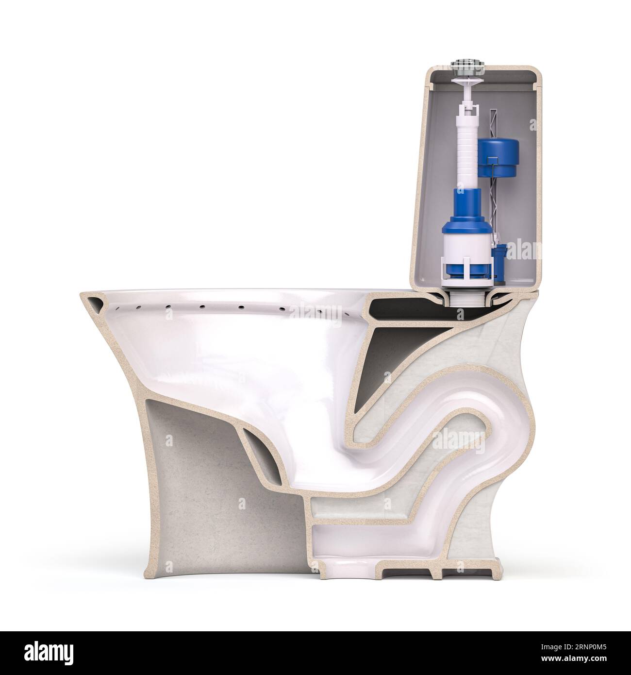 Querschnitt der Toilettenschüssel. Aufbau von Schüssel und Toilettenbehälter. 3D-Abbildung Stockfoto