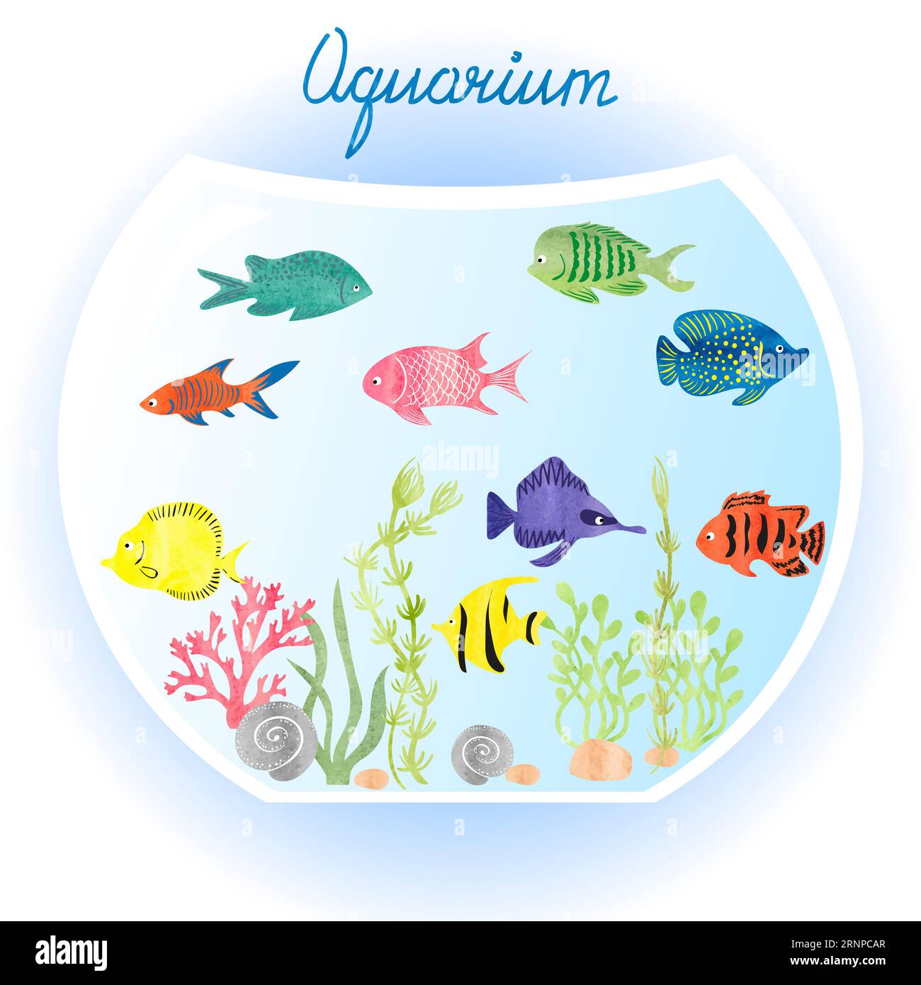 Aquarium mit Aquarellfischen und Algen. Vektordarstellung des Fischtanks Stock Vektor
