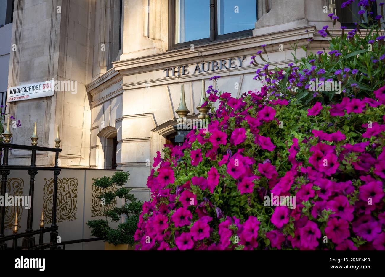 London, Großbritannien: Das Restaurant Aubrey in Knightsbridge, London. Das Aubrey ist ein japanisches Restaurant im Mandarin Oriental Hotel, Hyde Park, London. Stockfoto