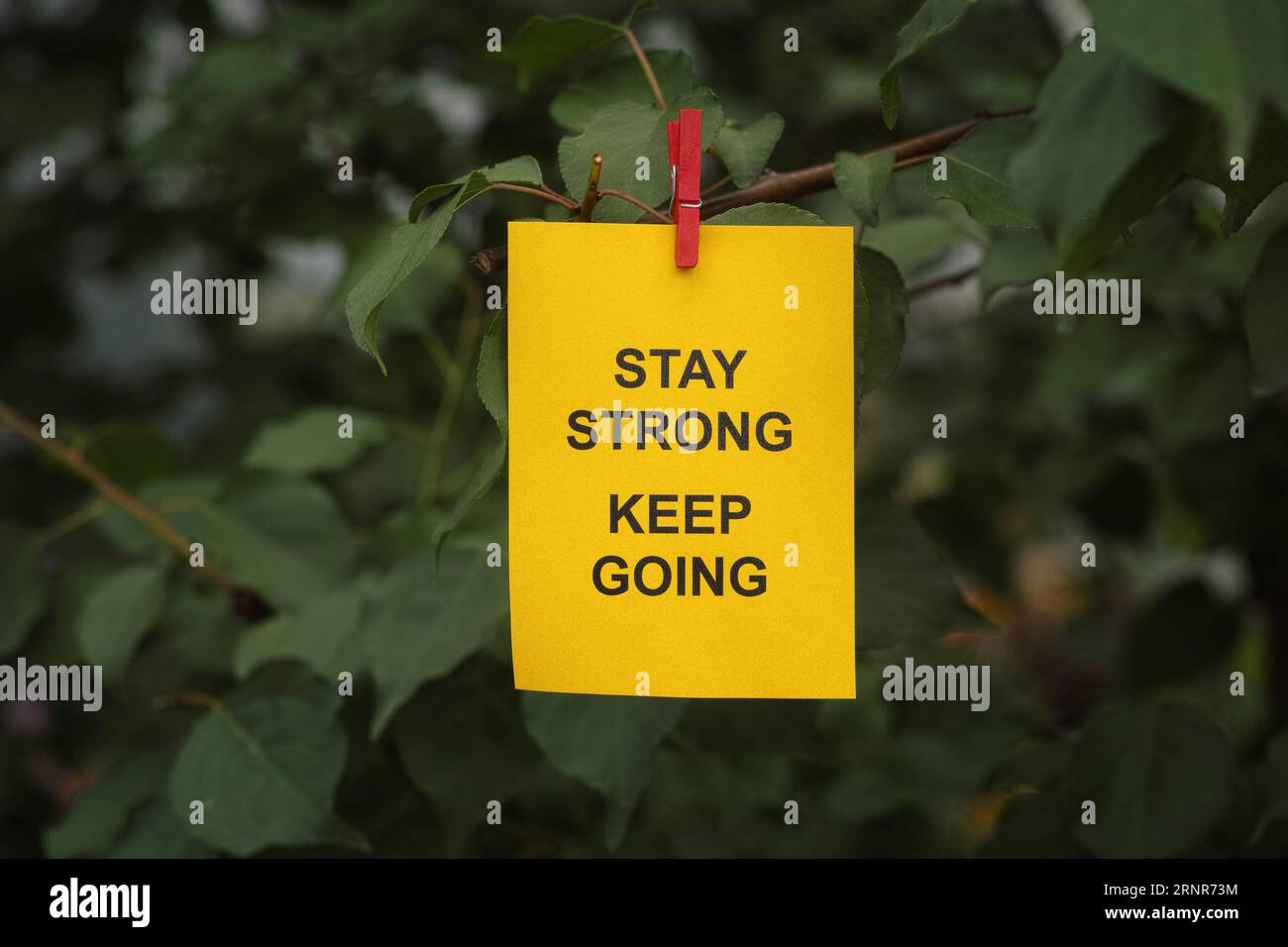 Eine gelbe Papiernotiz mit den Worten „Bleib stark“, die mit einer Kleidernadel an einem Baumzweig befestigt ist. Nahaufnahme. Stockfoto