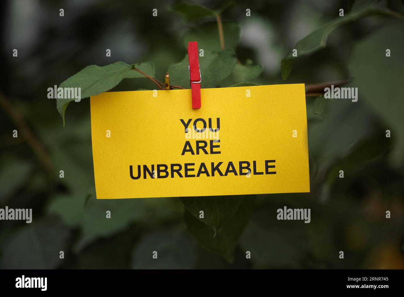 Eine gelbe Papiernotiz mit den Worten You are Unbreakable (du bist unzerbrechlich), die an einem Baumzweig mit einer Kleidernadel befestigt ist. Nahaufnahme. Stockfoto