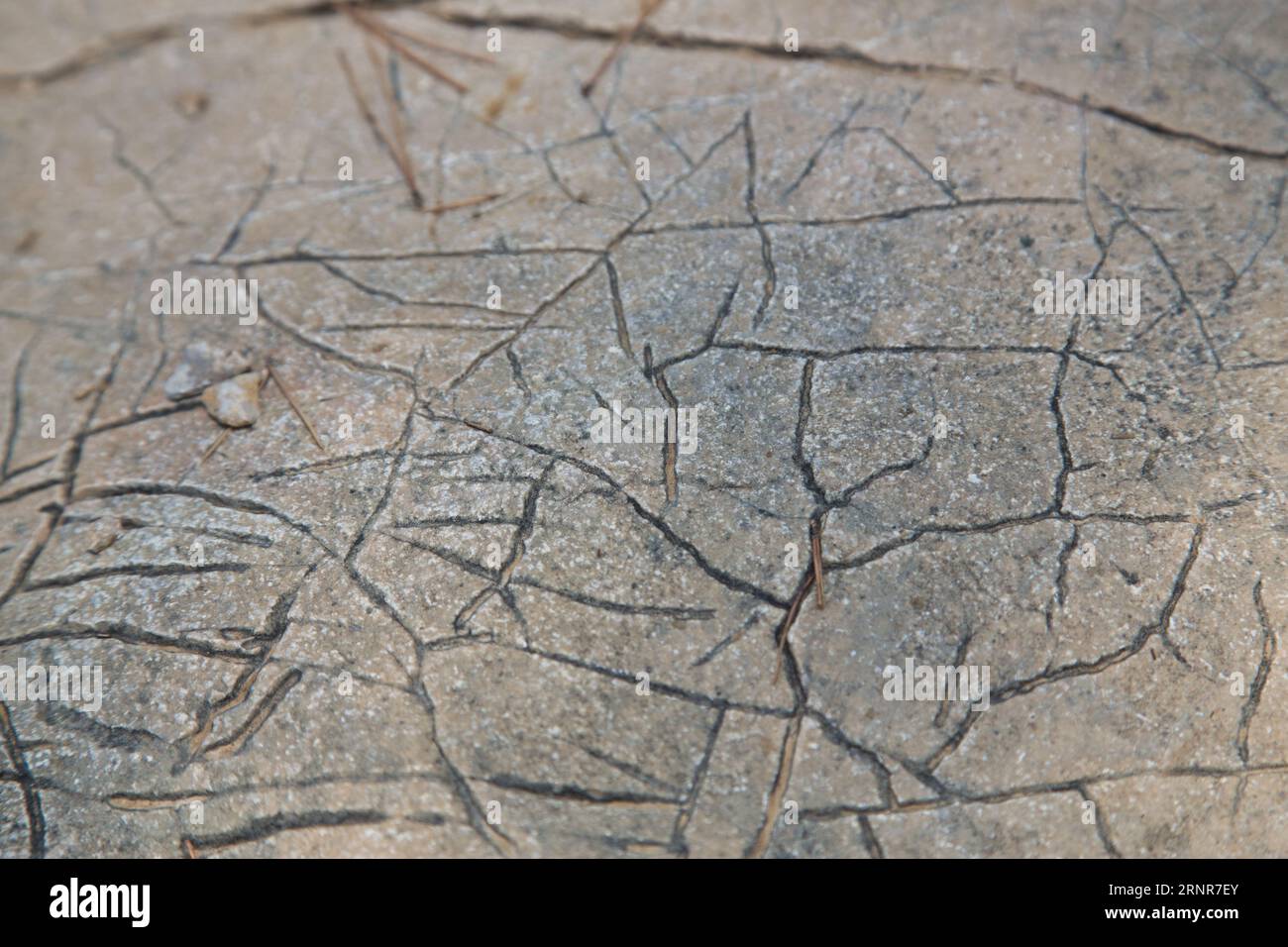 Nahaufnahme Einer Strukturierten Felsoberfläche Mit Komplizierten Mustern Und Natürlichen Farben. Stockfoto