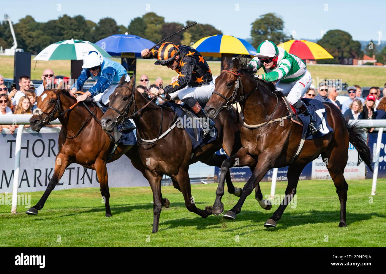 Beverley Racecourse, Beverley, Yorkshire, Großbritannien. Lazarus Dream gibt Jockey David Nolan am Tag in Beverley ein Doppel, indem er die Churchill Tyres Maiden Stakes für Trainer Richard Fahey und Inhaber des Richard Fahey Ebor Racing Club Ltd. Gewinnt Credit JTW Equine Images / Alamy Live News Stockfoto