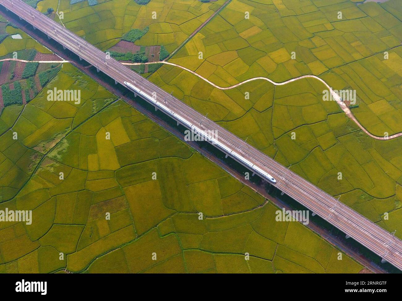 (171001) -- PEKING, 1. Oktober 2017 -- Ein Hochgeschwindigkeitszug fährt in Liuzhou City, Südchinas autonome Region Guangxi Zhuang, 15. Juli 2017. ) XINHUA FOTO WÖCHENTLICHE AUSWAHL LixXin PUBLICATIONxNOTxINxCHN Stockfoto