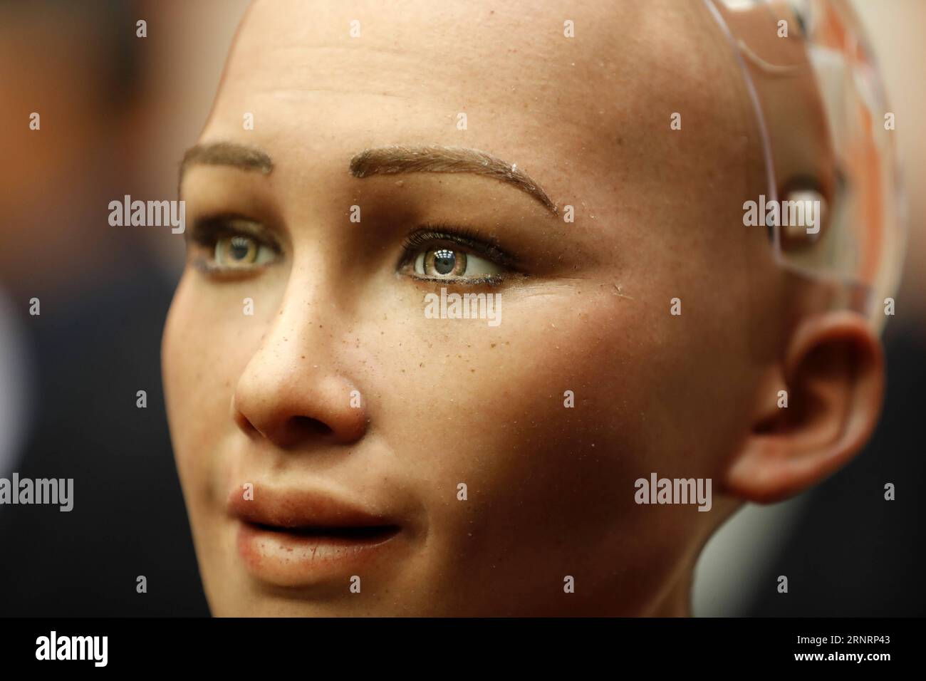 (171012) -- VEREINTEN NATIONEN, 12. Oktober 2017 -- Sophia, ein lebensechter humanoider Roboter, ist im UN-Hauptquartier in New York am 11. Oktober 2017 abgebildet. Sophia nahm an einem Treffen über die Zukunft von allem - nachhaltige Entwicklung im Zeitalter des raschen technologischen Wandels Teil . ) (zy) UN-ROBOTER-SOPHIA LixMuzi PUBLICATIONxNOTxINxCHN Stockfoto