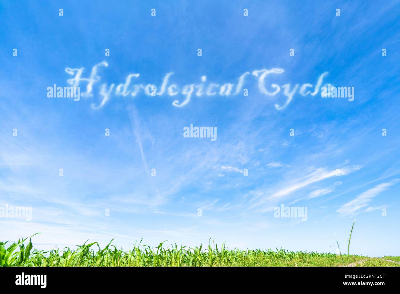 Hydrologischer Zyklus: Die kontinuierliche Bewegung von Wasser zwischen Erdoberfläche und Atmosphäre. Stockfoto