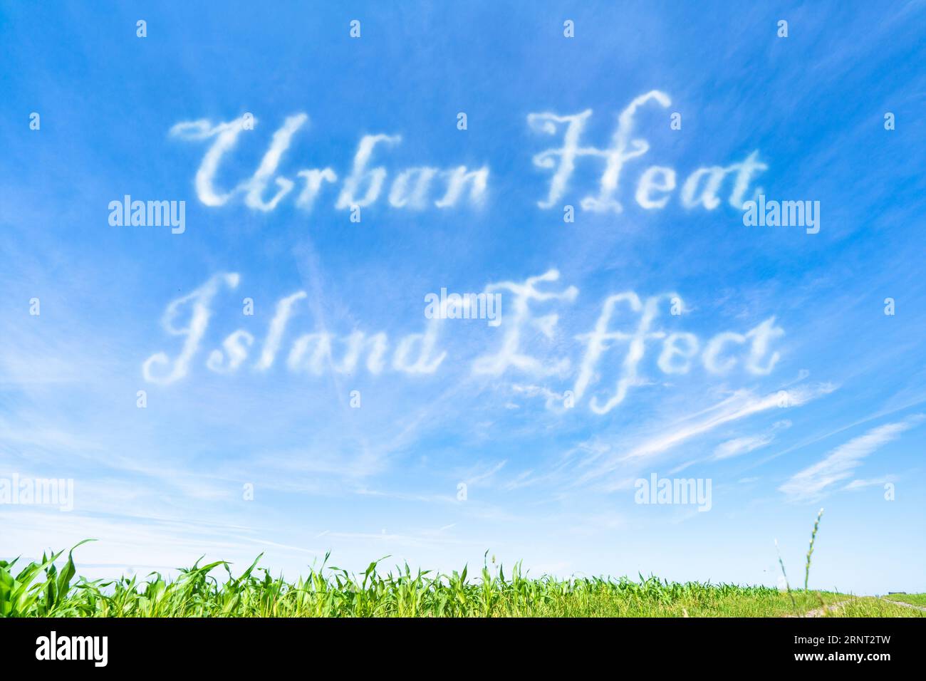 Urban Heat Island-Effekt: Erhöhte Temperaturen in städtischen Gebieten aufgrund menschlicher Aktivitäten und fehlender Vegetation. Stockfoto