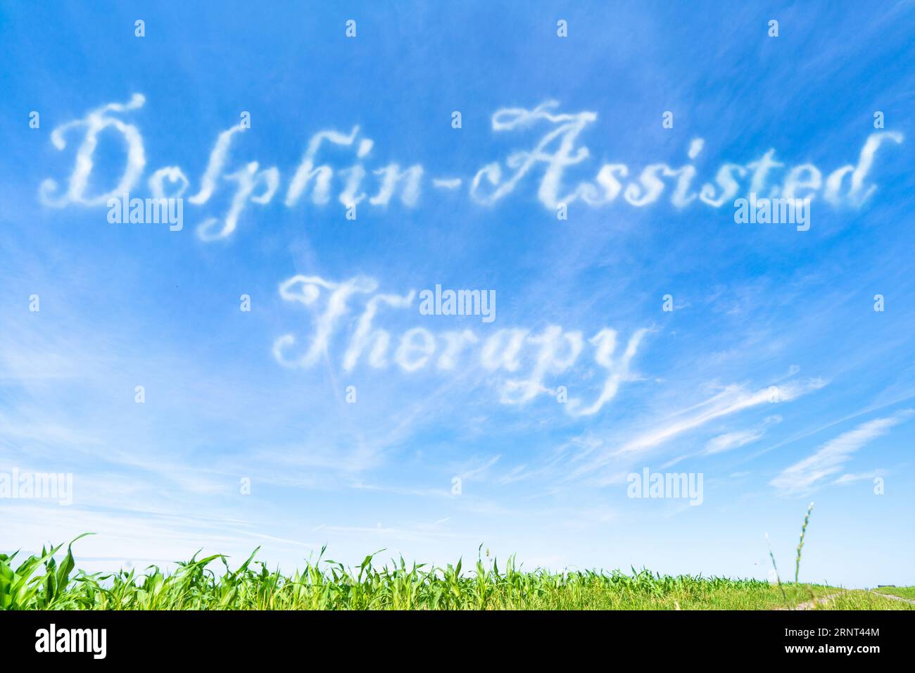 Delphingestützte Therapie: Nutzung von Interaktionen mit Delphinen zu therapeutischen Zwecken. Stockfoto