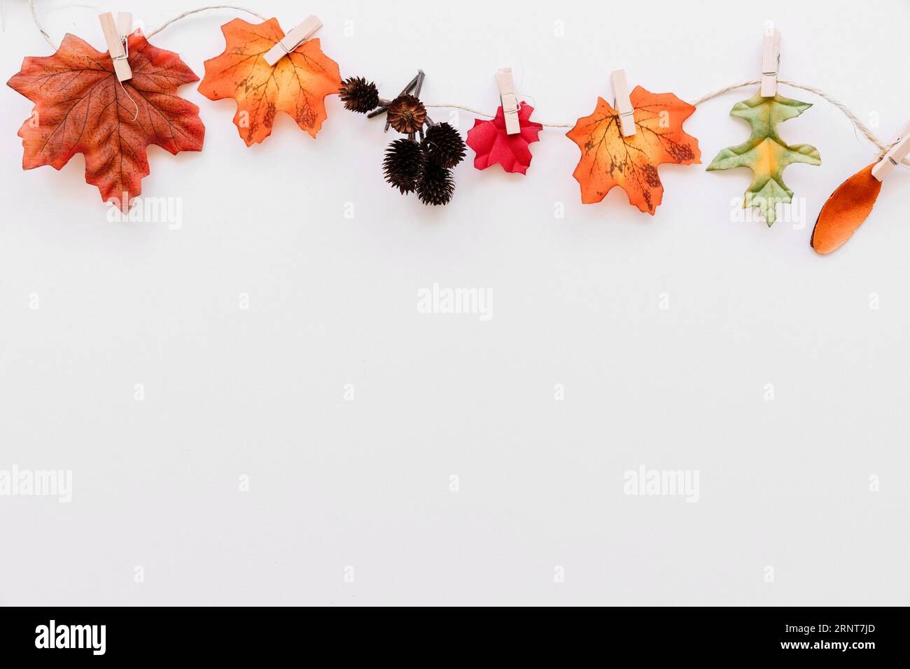 Herbstwald Details festgestecktes Seil Stockfoto