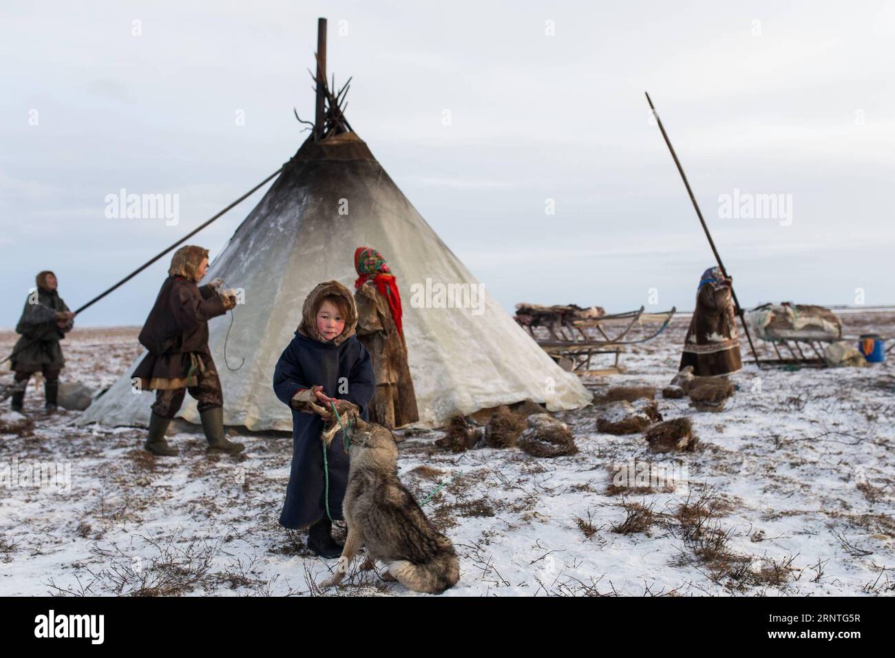 (171109) -- SALEKHARD (RUSSLAND), 9. November 2017 -- Ein Nenets-Mädchen steht am 4. November 2017 vor ihrem Lager, etwa 200 km von Salekhard, Russland. Die Nenets sind ein indigenes Volk im nördlichen arktischen Russland. Nach der jüngsten Volkszählung im Jahr 2010 gibt es in der Russischen Föderation etwa 45.000 Nenzen, die meisten von ihnen leben im autonomen Okrug der Yamalo-Nenzen und im autonomen Okrug der Nenzen. (whw) RUSSIA-SALEKHARD-DAILY LIFE-NENETS BaixXueqi PUBLICATIONxNOTxINxCHN Stockfoto