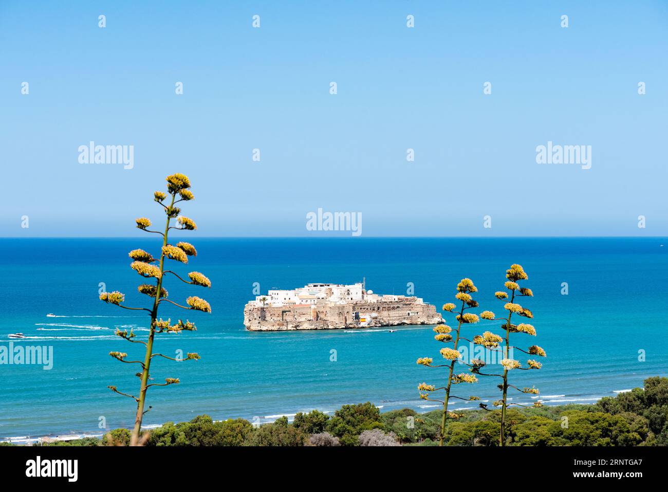 Penon de Alhucemas Island Festung, Alhucemas Inseln - Spanische Enklave vor der marokkanischen Küste bei Al Hoceima Marokko Stockfoto