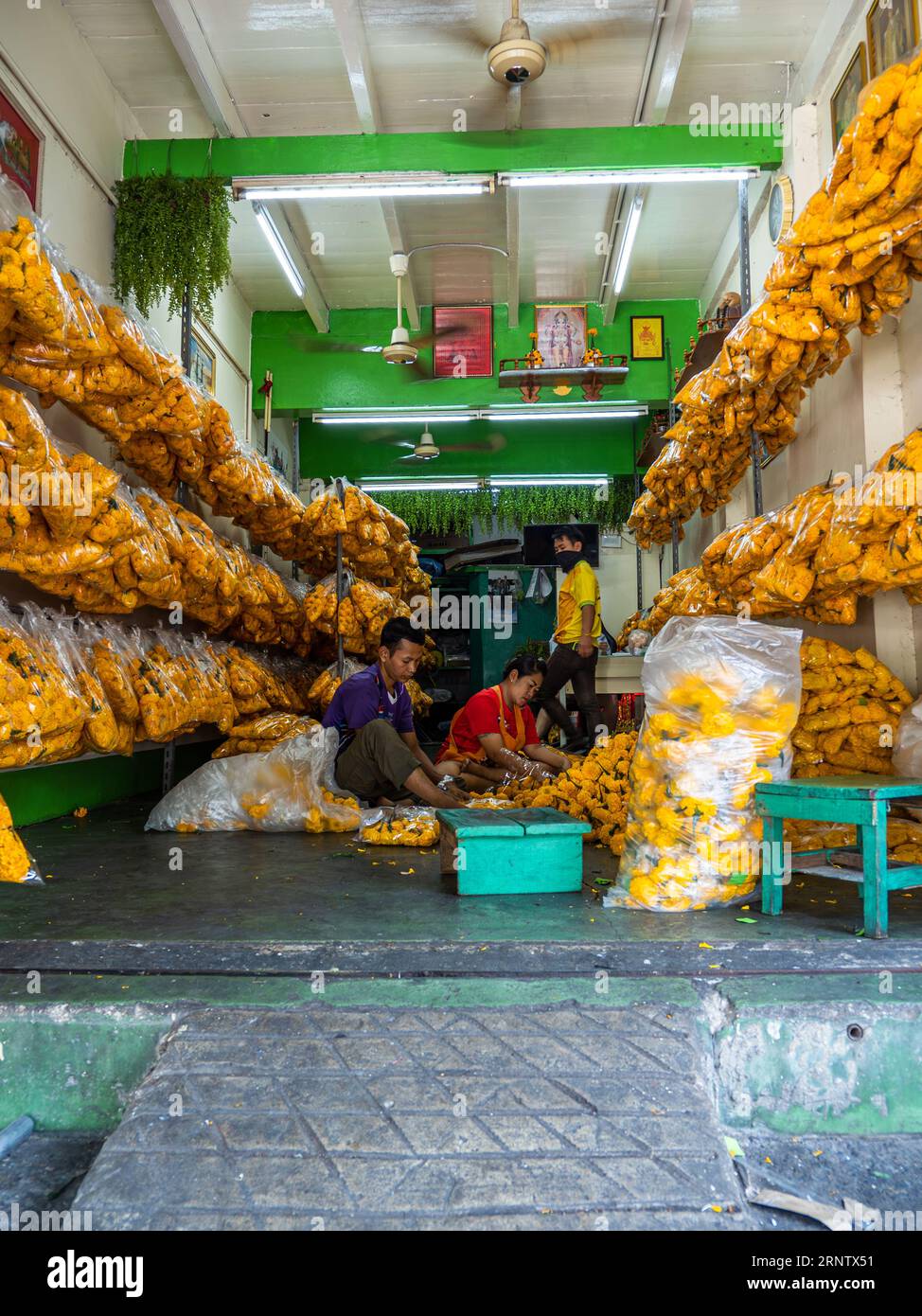 Gelbe Blumen verwandeln sich in Phuang Malai, die atemberaubende Girlanden der thailändischen Kultur, unter den flinken Fingern von drei Schöpfern in Bangkok. Stockfoto