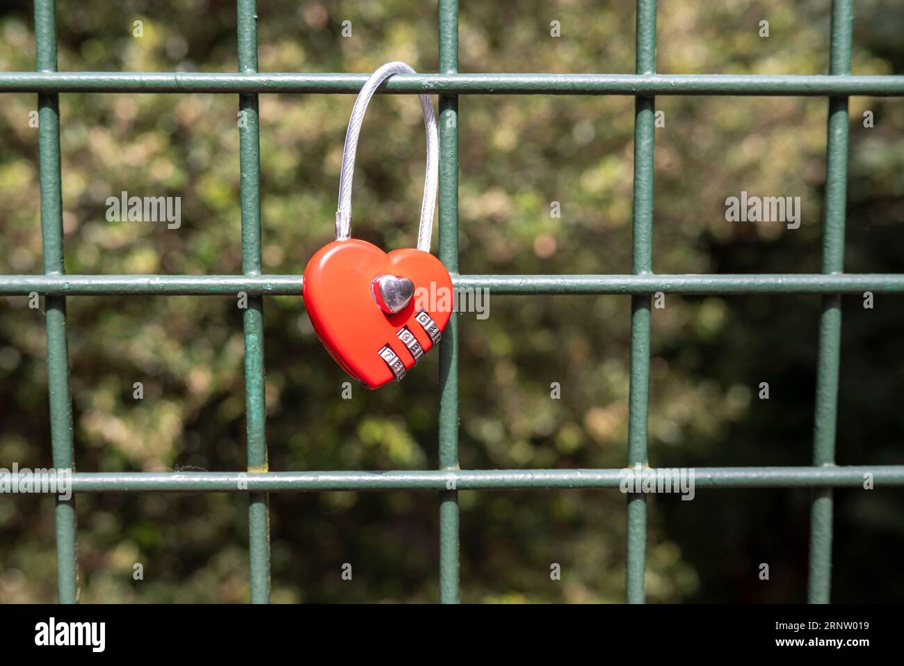 Rotes, herzförmiges Vorhängeschloss an einem grünen Gitterzaun befestigt Stockfoto