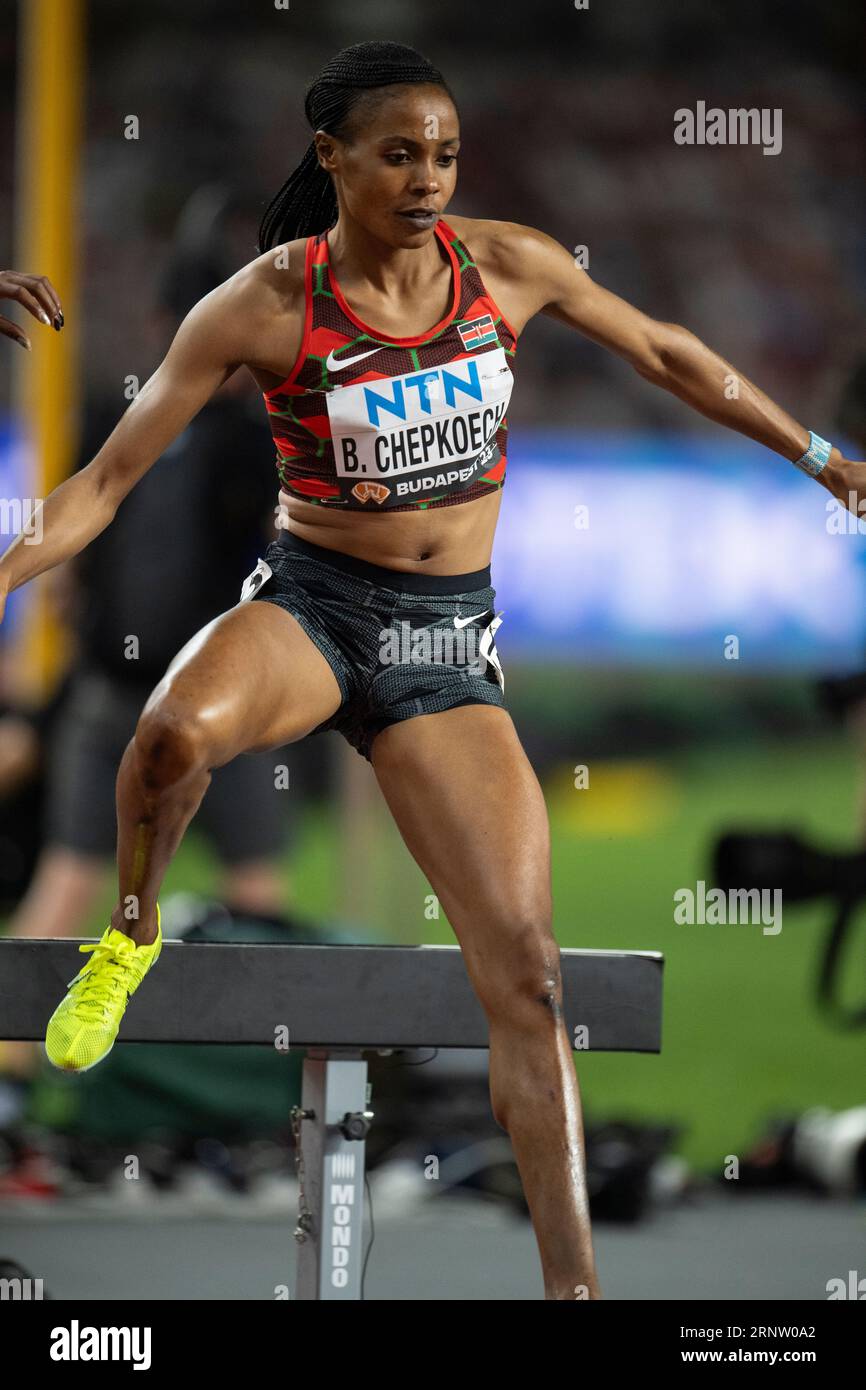 Beatrice Chepoech aus Kenia tritt am 9. Tag bei den Leichtathletik-Weltmeisterschaften im National Athletics Cent in der 3000-Meter-Turnierfahrt der Frauen an Stockfoto