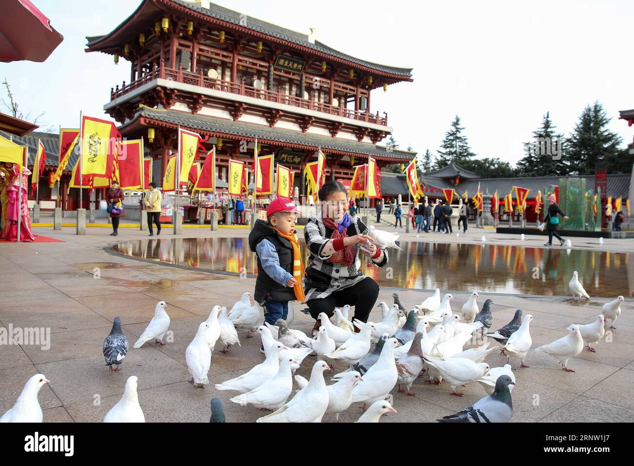 (171128) -- PEKING, 28. November 2017 -- Menschen spielen mit Tauben in Tang Paradise, einem Park in Xi an, Hauptstadt der nordwestchinesischen Provinz Shaanxi, 22. November 2017. Die Xi an-Chengdu-Hochgeschwindigkeitsstrecke, Chinas erste Eisenbahnstrecke, die durch die Qinling-Berge führt, soll im Laufe des Jahres in Betrieb genommen werden. Bis dahin werden mehrere antike Städte und Touristenattraktionen mit der Bahn verbunden sein. ) (XZY) CHINA-XI AN-CHENGDU-HOCHGESCHWINDIGKEITSSTRECKE - SCENIC SPOTS(CN) ZHANGXCHENG PUBLICATIONXNOTXINXCHN Stockfoto
