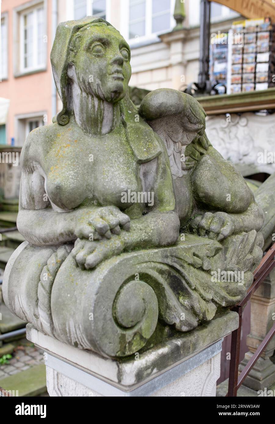 Ornamente, Formteile, Gargoyle, niedrige Reliefs in einem Sandstein, Granit, Beton. Bildhauerdetails in Danzig. Stockfoto