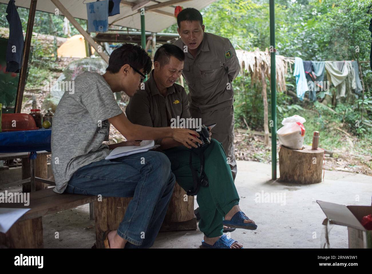 (171202) -- HAIKOU, 2. Dezember 2017 -- Mitglieder des Hainan Gibbon Monitoring Teams überprüfen Fotos von Hainan Gibbons im Bawangling National Nature Reserve in Changjiang, Südchinesische Provinz Hainan, 27. Oktober 2017. Der Hainan-Gibbon oder Nomascus Hainanus ist die seltenste Primatenart der Welt und wahrscheinlich die seltenste Säugetierart. In den 1950er Jahren waren sie etwa 2.000 Jahre alt, im späten 20. Jahrhundert waren sie stark rückläufig, was vor allem auf den Verlust von Lebensräumen und die Jagd zurückzuführen war. Typischerweise lebt der Hainan-Gibbon (Nomascus hainanus) in Regenwaldbäumen von über 10 Metern Höhe, mit langen Armen und Beinen, aber nicht t Stockfoto