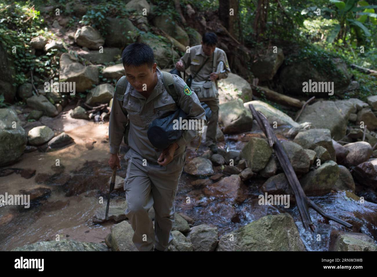 (171202) -- HAIKOU, 2. Dezember 2017 -- Foto aufgenommen am 25. Oktober 2017 zeigt zwei Mitglieder des Hainan Gibbon Monitoring-Teams, die im Bawangling National Nature Reserve in Changjiang, der südchinesischen Provinz Hainan, spazieren. Der Hainan-Gibbon oder Nomascus Hainanus ist die seltenste Primatenart der Welt und wahrscheinlich die seltenste Säugetierart. In den 1950er Jahren waren sie etwa 2.000 Jahre alt, im späten 20. Jahrhundert waren sie stark rückläufig, was vor allem auf den Verlust von Lebensräumen und die Jagd zurückzuführen war. Typischerweise lebt der Hainan-Gibbon (Nomascus hainanus) in Regenwaldbäumen von über 10 Metern Höhe, mit langen Armen und Beinen, aber ohne Schwanz Stockfoto