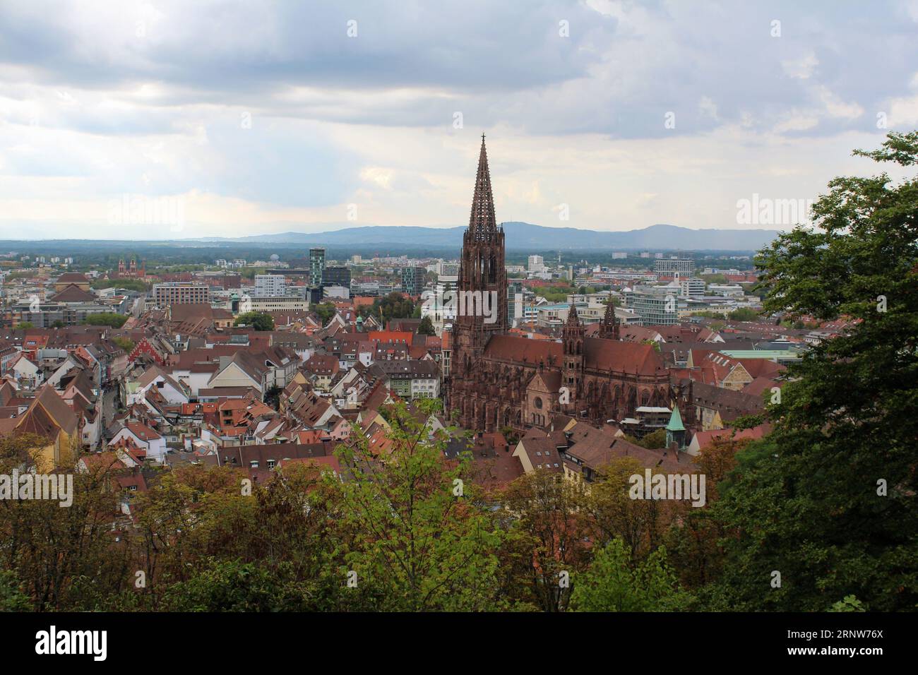 Das majestätische Freiburger Münster in Deutschland Stockfoto