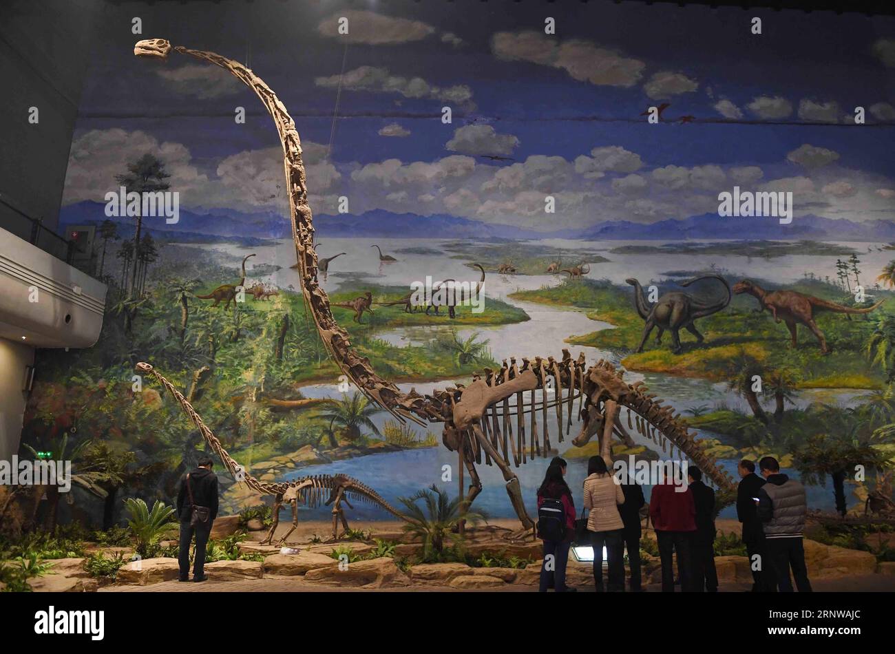 (171211) -- ZIGONG, 11. Dezember 2017 -- Menschen besuchen das Zigong Dinosaurier Museum in Zigong, Südwestchinas Provinz Sichuan, 7. Dezember 2017. Das Zigong Dinosaurier Museum wurde in der weltberühmten Dashanpu Dinosaurier Fauna erbaut und beherbergt eine Sammlung fossiler Exemplare, die fast alle bekannten Dinosaurier-Arten im Jura vor 205-135 Millionen Jahren umfassen. Es wurde vom American Global Geography Magazine als das beste Dinosaurier-Museum der Welt angesehen. ) (wf) CHINA-SICHUAN-FOSSIL-DINOSAURIER (CN) LiuxKun PUBLICATIONxNOTxINxCHN Stockfoto