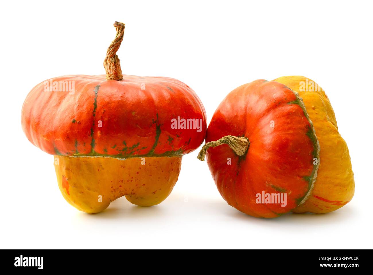 Entnahme Kürbis isoliert auf weiß Stockfoto